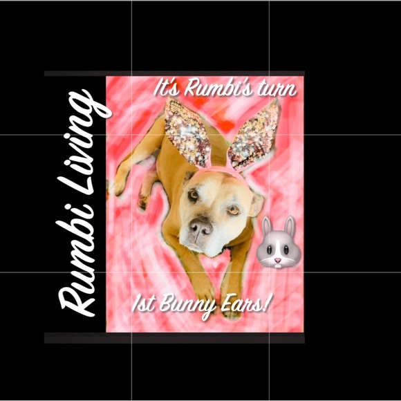 Meet your Posher, Rumbera. Flowers and Fashion💚 - Picture 1 of 2